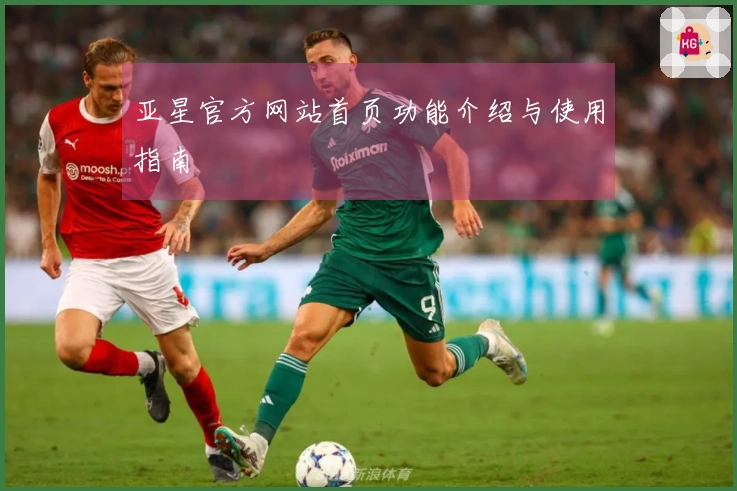 亚星官方网站首页功能介绍与使用指南
