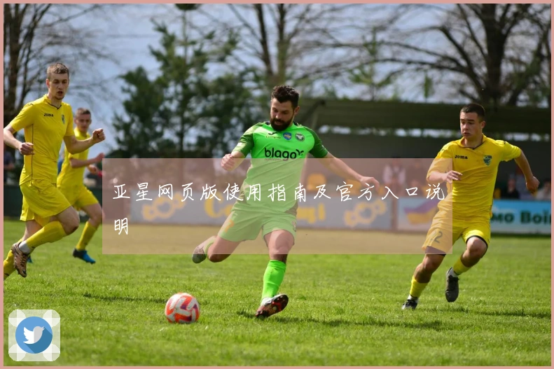 亚星网页版使用指南及官方入口说明