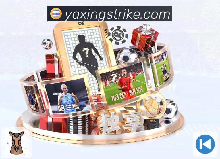 亚星客户端使用体验分享及高效操作技巧汇总