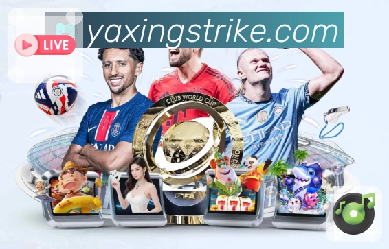 即时比分 即时比分 - 秒级更新与状态提示